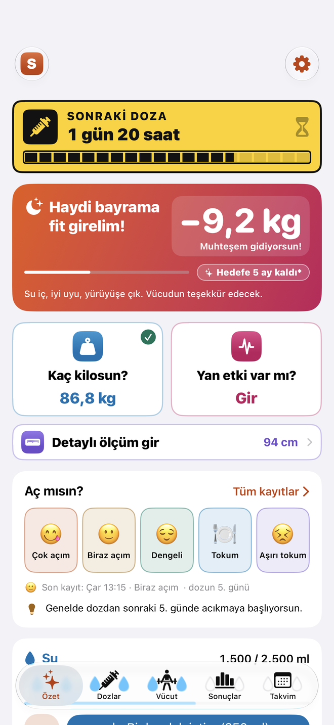 Satia özet ekranı